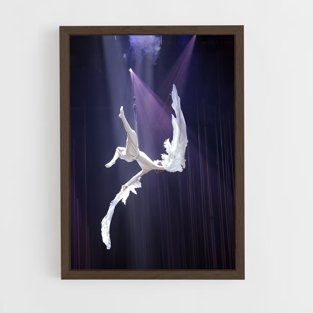Poster Cirque soleil (vue 5)